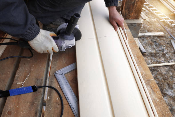 Best Steel Siding Installation  in New Ulm, MN