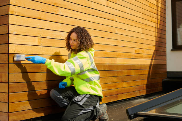 Best Custom Siding Design  in New Ulm, MN